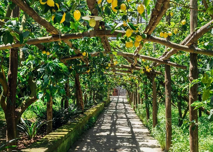 Agriturismo Il Giardino Di Vigliano Massa Lubrense